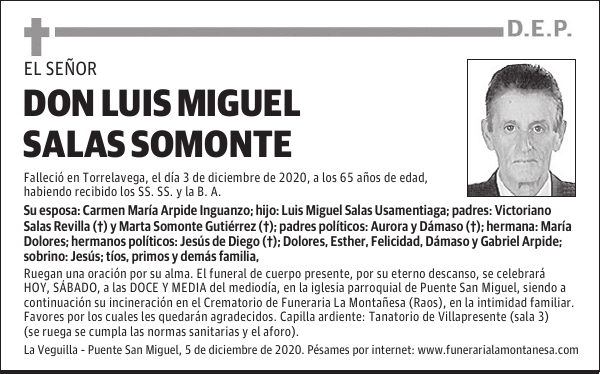 DON LUIS MIGUEL SALAS SOMONTE