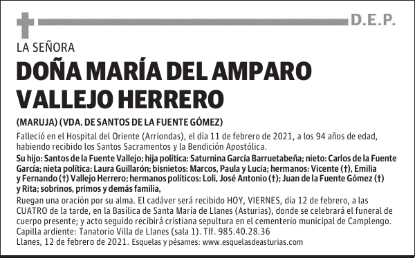 DOÑA MARÍA DEL AMPARO VALLEJO HERRERO
