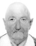 DON FERNANDO FERNÁNDEZ PELAYO