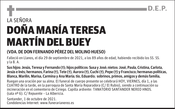 DOÑA MARÍA TERESA MARTÍN DEL BUEY