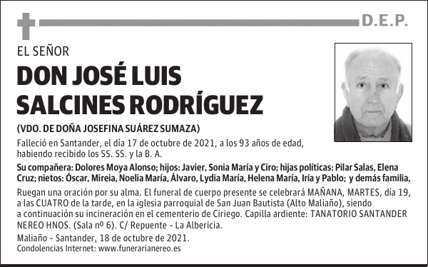 DON JOSÉ LUIS SALCINES RODRÍGUEZ