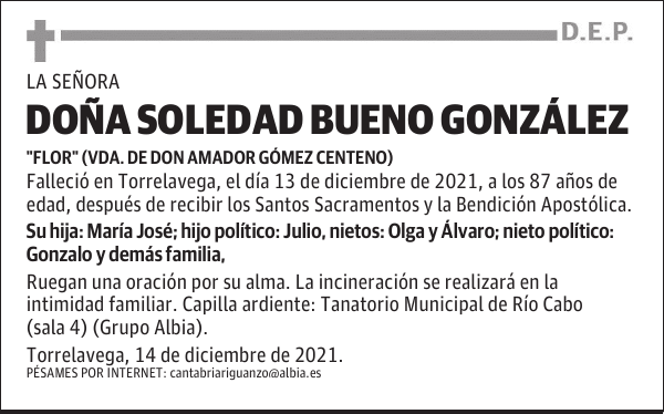 DOÑA SOLEDAD BUENO GONZÁLEZ
