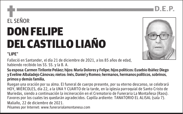 DON FELIPE DEL CASTILLO LIAÑO