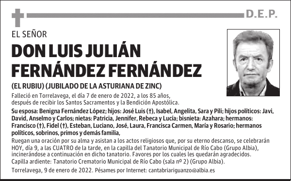 DON LUIS JULIÁN FERNÁNDEZ FERNÁNDEZ