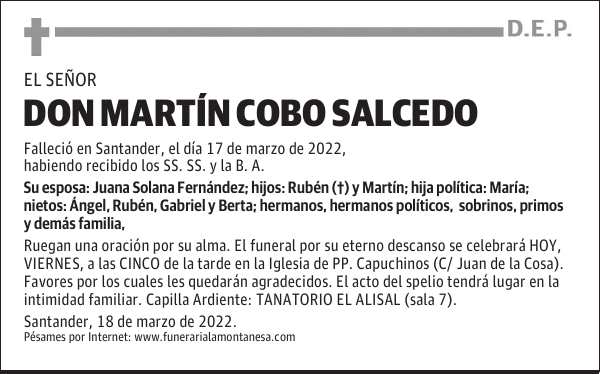 DON MARTÍN COBO SALCEDO