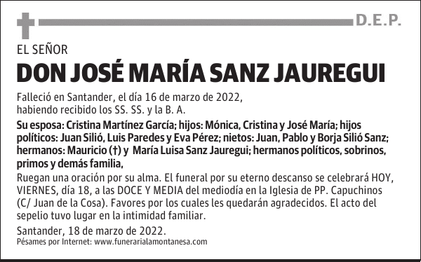 DON JOSÉ MARÍA SANZ JAUREGUI