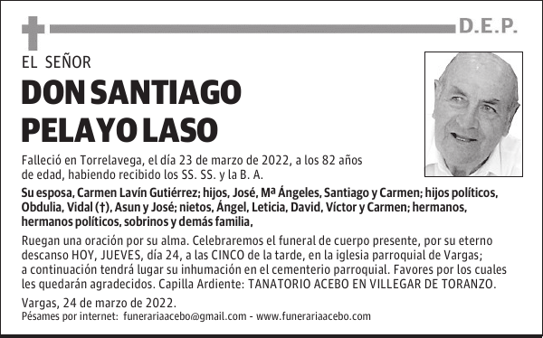 D. Santiago Pelayo Laso