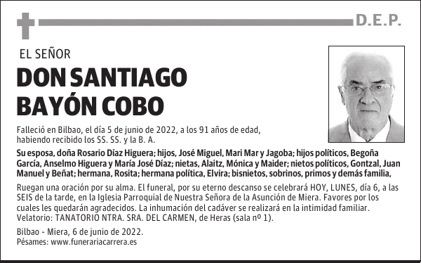 DON SANTIAGO BAYÓN COBO