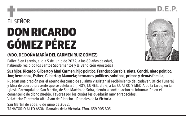 D. RICARDO GÓMEZ PÉREZ