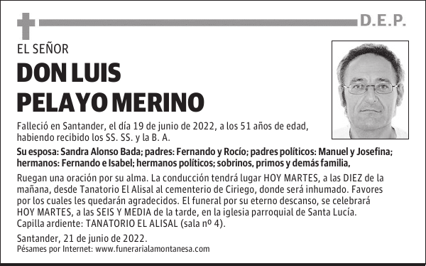 DON LUIS PELAYO MERINO