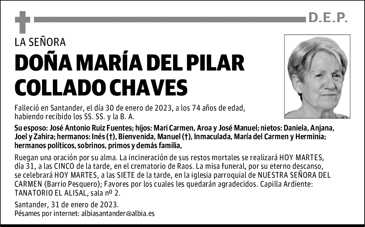 DOÑA MARÍA DEL PILAR COLLADO CHAVES