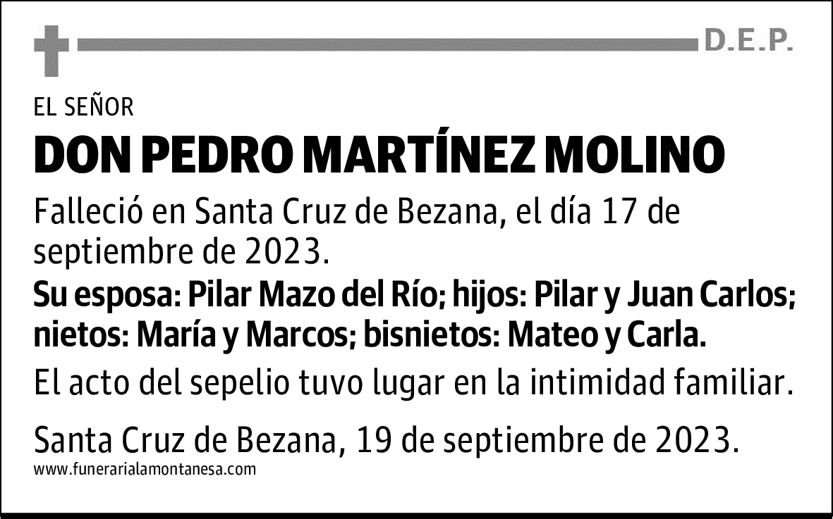 DON PEDRO MARTÍNEZ MOLINO