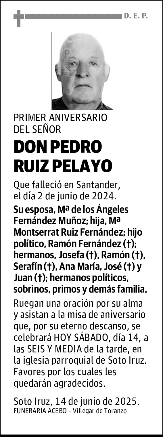 DON PEDRO RUIZ PELAYO