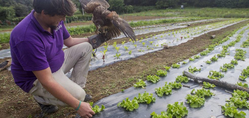 Desarrollo Rural subvencionará con 10 millones a 76 proyectos agroalimentarios - Vimarsana News
